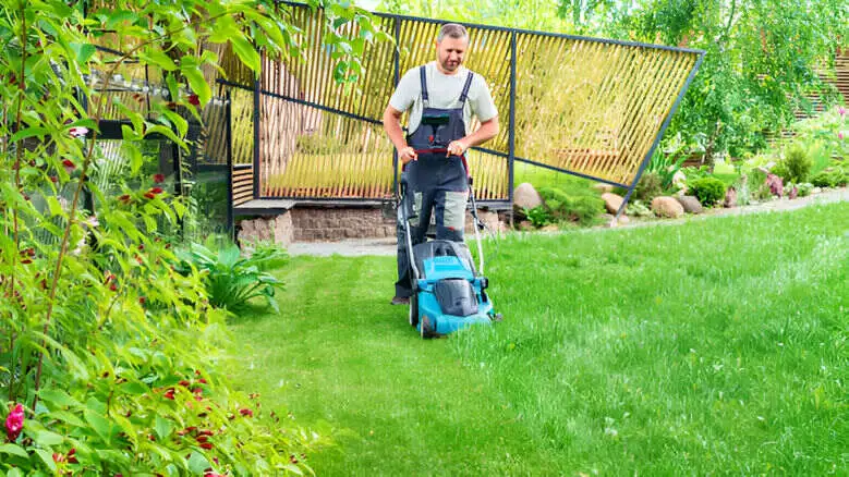 Lawn mowing alukland