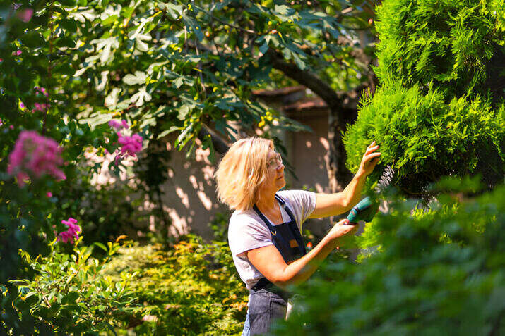 garden maintenance auckland