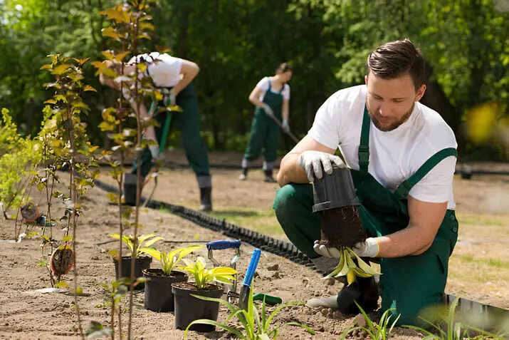 Landscape maintenance Auckland